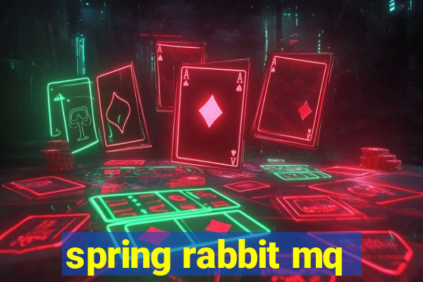 spring rabbit mq